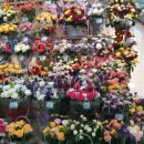 금우농장 이미지