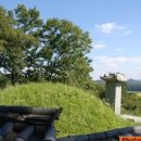 화평옹주.박명원 묘 및 신도비 이미지