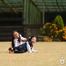 웃다리1945 이미지