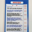 워시드카 이미지