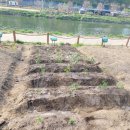 광진농장 이미지