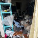 도룡길 5번길 11 이미지