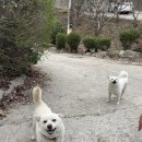 여행💨(1)