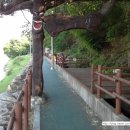 (구)김화교 이미지