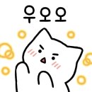 보드게임카페레드버튼이수역점