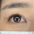 포유 | 선릉역 속눈썹 연장 잘하는 곳 : 연예인 속눈썹연장 아지트 포유 후기