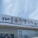 해물을 품은 칼국수 이미지