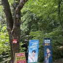 개울가 - 서산시 마애삼존불길 83 | 팔공산 계곡식당 추천 개울가식당 백숙 먹고 온 솔직후기
