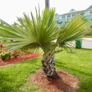 라탄 공예(야) 이미지