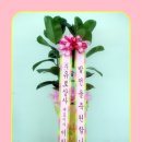 유로 메디칼 이미지