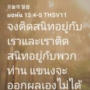 요한카오일