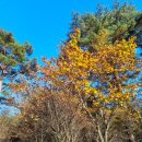 가족호텔 해바라기동 이미지