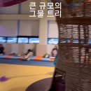 매직월드키즈플렉스 이미지