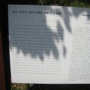 신흥사 대광전 이미지