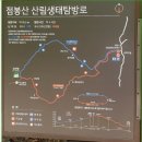 [ 35인승리무진2026년 6월 6일 토요일 ] 강원도 인제 점봉산 곰배령 천상의 화원 " 야생화 안내 피는 곳 이미지
