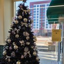 플랫101 | [대전/영덕/죽변] 대전 그린베이커리/죽변수산물유통복합센터/죽변 카페 플랫하우스