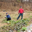고천농장 이미지