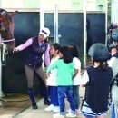 조천초등학교교래분교 이미지