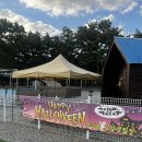 우퍼존 | 캠핑 🏕️ 몽산포 감성캠핑장 고아웃 A-2 올빼미존 D사이트 후기 | 태안 애견동반 가족캠핑장 할로윈캠핑 추천