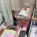 조우커뮤니케이션 | 육아휴직 기록 (1) - 서울 아산병원 쌍둥이 출산 후기 ('24년 8월)