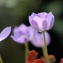 523갤러리 이미지