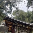 보성춘 이미지