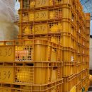 치상농장 이미지