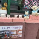 그림애카페'다시.여기서' 이미지