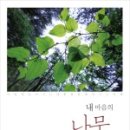 내마음의여행 이미지
