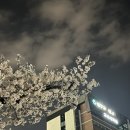 대구교대과학관 이미지