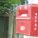 신진이발관 Daum카페
