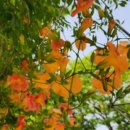 부천중앙공원 광장 이미지