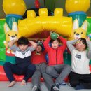 경희대 진명태권도 이미지