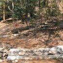 대신공원 숲길 이미지