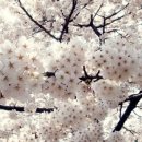 더잘자짐 이미지