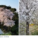 황새울2길 이미지