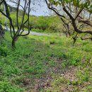 남밀양농협주유소 이미지