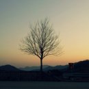 로운트리 이미지