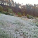 양평한우 이미지