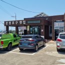 오션트리 이미지