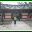 금닭 이미지