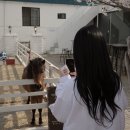 언디베
