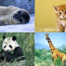 전주기독병원 이미지