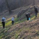 스텔라토 이미지