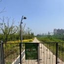 습지원 | [서울 강서구] 5월 장미와 함께한 서울 식물원 - 주제원 외의 공간들 (열린숲, 호수원, 습지원) 1/3