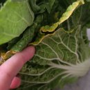 하태성정형외과의원 이미지