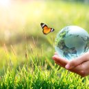 NGO기업장애인협회 이미지