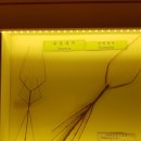 양평곤충박물관 이미지