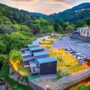 딩동댕 애견카페 이미지