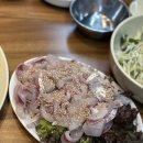 다리깨 | 대전 문창동 맛집 추천 숭어회가 존맛탱인 웨이팅 횟집 다리위오징어 후기